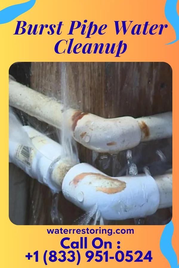 Burst Pipe Water Cleanup in Midville, GA