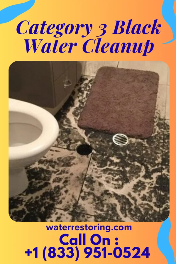 Category 3 Black Water Cleanup in Midville, GA