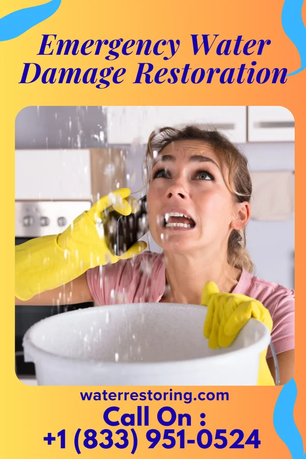 Emergency Water Damage Restoration in Midville, GA
