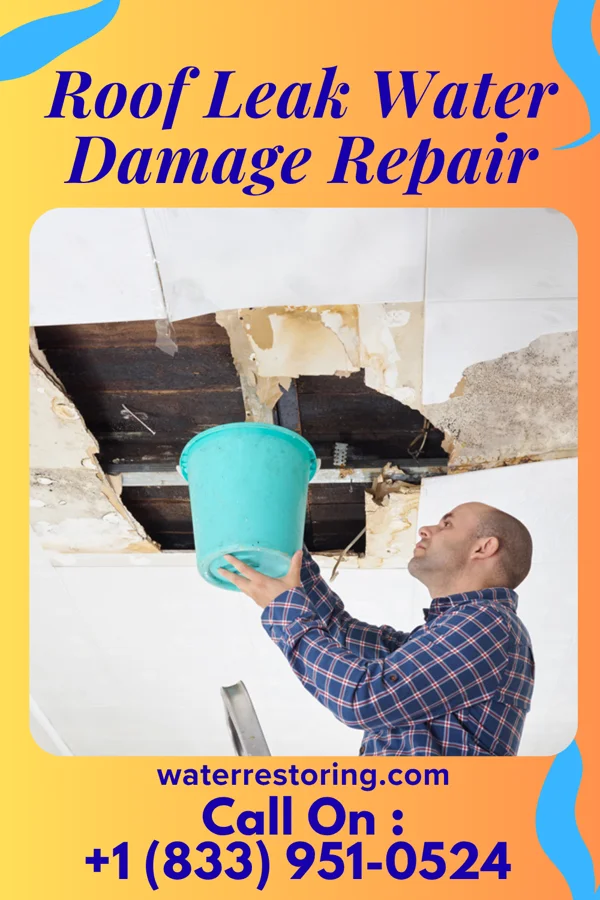Roof Leak Water Damage Repair in Midville, GA