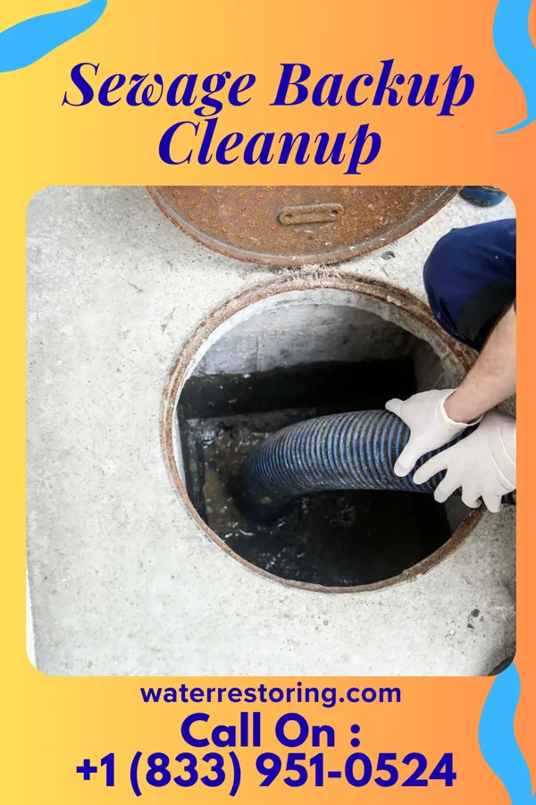 Sewage Backup Cleanup in Midville, GA