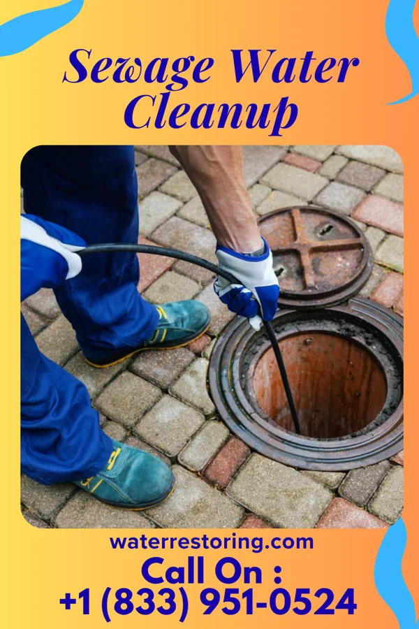 Sewage Water Cleanup in Midville, GA