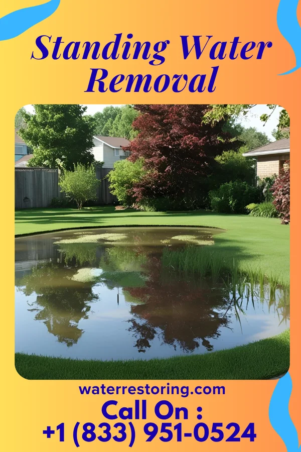 Standing Water Removal in Midville, GA
